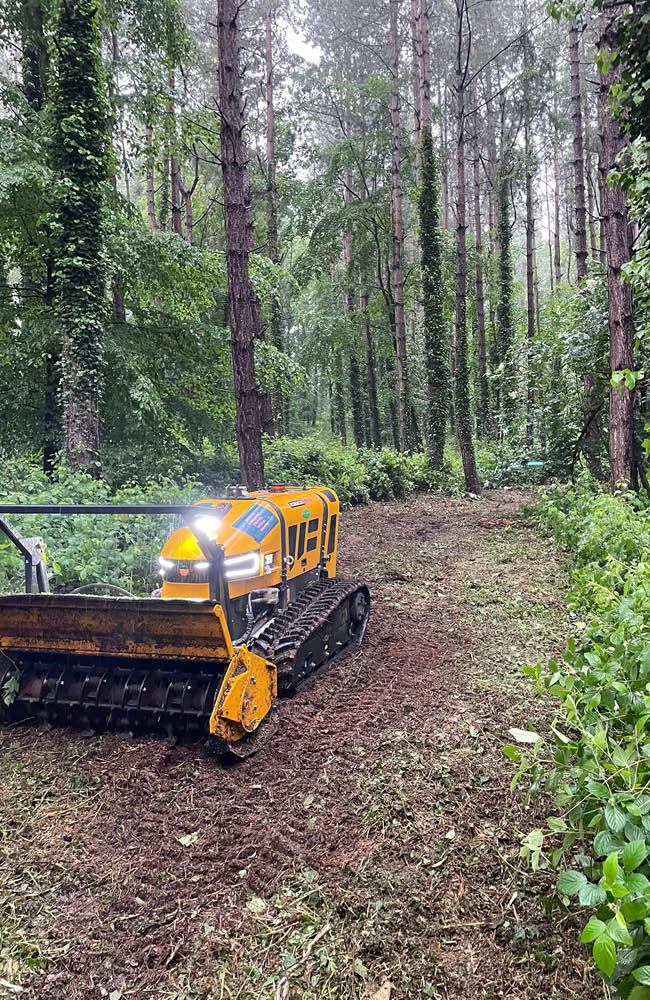 Welby Estates - what we do land clearance